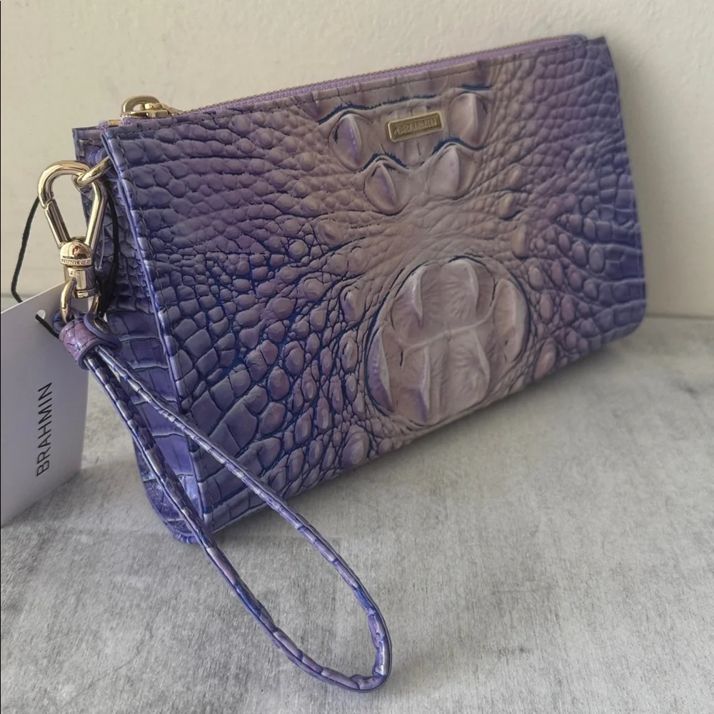 Brahmin daisy very